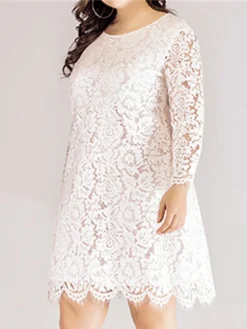 Women‘s Plus Size Curve Lace Dress Work Dress A Line Dress Solid Color Midi Dress Long Sleeve Lace Crew Neck Fashion Office Black White Spring Fall L XL XXL 3XL 4XL -HANs Plus Size Style Shop aaafpu1673001187698
