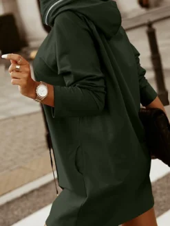 Women‘s Hoodie Dress Winter Dress Black Army Green Red Long Sleeve Pure Color Zipper Pocket Winter Fall Hooded Stylish Modern Mature Fall Dress 2022 S M L XL XXL 3XL 4XL 5XL -HANs Plus Size Style Shop bjnipd1664423547713