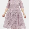 Women‘s Plus Size Curve Party Dress Lace Dress Cocktail Dress Midi Dress Black Pink Wine Half Sleeve Pure Color Lace Summer Spring Fall V Neck Fashion Birthday Wedding Guest Vacation 2023