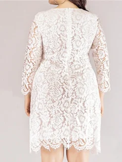 Women‘s Plus Size Curve Lace Dress Work Dress A Line Dress Solid Color Midi Dress Long Sleeve Lace Crew Neck Fashion Office Black White Spring Fall L XL XXL 3XL 4XL -HANs Plus Size Style Shop cxqzol1673001188539