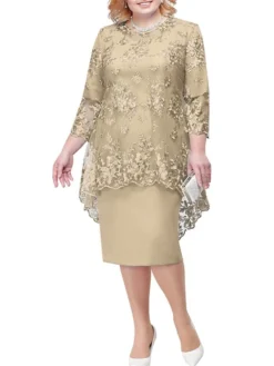 Women's Plus Size Curve Wedding Guest Dress Lace A Line Dress Floral Round Neck Lace 3/4 Length Sleeve Spring Summer Casual Mother‘s Day Knee Length Dress Daily Holiday Dress -HANs Plus Size Style Shop jevcyi1650433373926