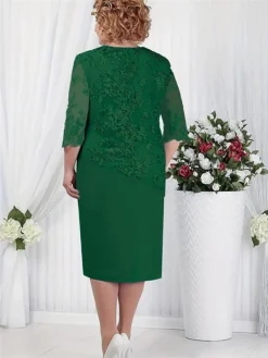 Women's Plus Size Party Dress Lace Dress Cocktail Dress Midi Dress Pink Blue Green 3/4 Length Sleeve Pure Color Lace Spring Fall Winter Crew Neck Fashion Winter Dress Wedding Guest Vacation 2023 L XL -HANs Plus Size Style Shop jjeqhn1693806684063