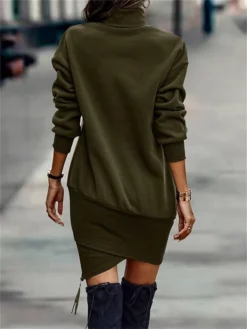Women's Casual Dress Sweatshirt Dress Winter Dress Mini Dress Asymmetrical Outdoor Street Daily Fashion Streetwear Stand Collar Long Sleeve 2023 Loose Fit Black Wine Army Green Color S M L XL XXL Size -HANs Plus Size Style Shop ldiibz1693559004471
