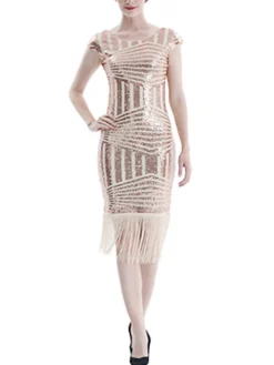 Women's Retro 1920s Fringe Dress Midi Dress Party Halloween Sequins Tassel Fringe Geometric V Neck Short Sleeve Regular Fit Spring Fall 2023 Silver Pink S M L XL -HANs Plus Size Style Shop lpxdwf1693212359230