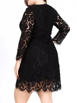 Women‘s Plus Size Curve Lace Dress Work Dress A Line Dress Solid Color Midi Dress Long Sleeve Lace Crew Neck Fashion Office Black White Spring Fall L XL XXL 3XL 4XL -HANs Plus Size Style Shop mgrvrr1691460713392