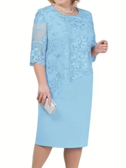 Women's Plus Size Party Dress Lace Dress Cocktail Dress Midi Dress Pink Blue Green 3/4 Length Sleeve Pure Color Lace Spring Fall Winter Crew Neck Fashion Winter Dress Wedding Guest Vacation 2023 L XL -HANs Plus Size Style Shop mqgvyy1693806683006
