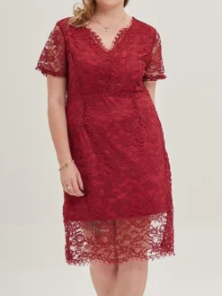 Women's Plus Size Curve Party Dress Lace Dress Cocktail Dress Midi Dress Black Pink Wine Short Sleeve Pure Color Lace Summer Spring Fall V Neck Fashion Birthday Wedding Guest Vacation XL XXL 3XL 4XL -HANs Plus Size Style Shop nmrijf1692165639836