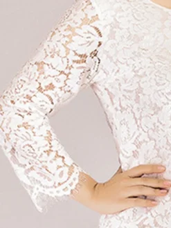 Women‘s Plus Size Curve Lace Dress Work Dress A Line Dress Solid Color Midi Dress Long Sleeve Lace Crew Neck Fashion Office Black White Spring Fall L XL XXL 3XL 4XL -HANs Plus Size Style Shop qymgyh1673001189437