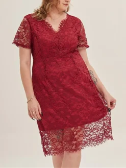 Women's Plus Size Curve Party Dress Lace Dress Cocktail Dress Midi Dress Black Pink Wine Short Sleeve Pure Color Lace Summer Spring Fall V Neck Fashion Birthday Wedding Guest Vacation XL XXL 3XL 4XL -HANs Plus Size Style Shop tvitsn1692165642287