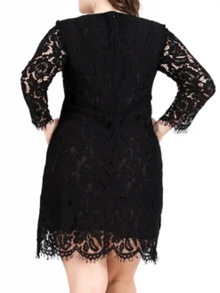 Women‘s Plus Size Curve Lace Dress Work Dress A Line Dress Solid Color Midi Dress Long Sleeve Lace Crew Neck Fashion Office Black White Spring Fall L XL XXL 3XL 4XL -HANs Plus Size Style Shop uamecg1691460717931