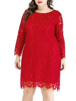 Women‘s Plus Size Curve Lace Dress Work Dress A Line Dress Solid Color Midi Dress Long Sleeve Lace Crew Neck Fashion Office Black White Spring Fall L XL XXL 3XL 4XL