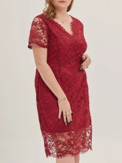 Women's Plus Size Curve Party Dress Lace Dress Cocktail Dress Midi Dress Black Pink Wine Short Sleeve Pure Color Lace Summer Spring Fall V Neck Fashion Birthday Wedding Guest Vacation XL XXL 3XL 4XL -HANs Plus Size Style Shop zkxjzh1692165640642